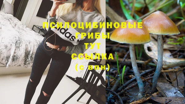 mdpv Няндома