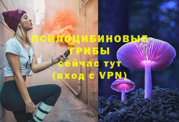 mdpv Няндома
