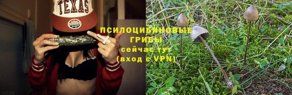 мескалин Нязепетровск