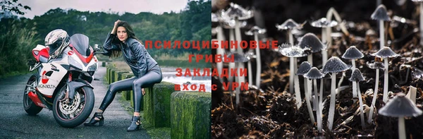 mdpv Няндома