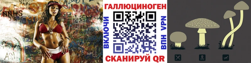 где купить наркотик Алагир Псилоцибиновые грибы Psilocybe